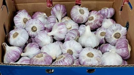 Los Andes | La entidad que nuclea a los exportadores en Mendoza, plantea que los valores deberían actualizarse cada año, antes de que comiencen los envíos al exterior.