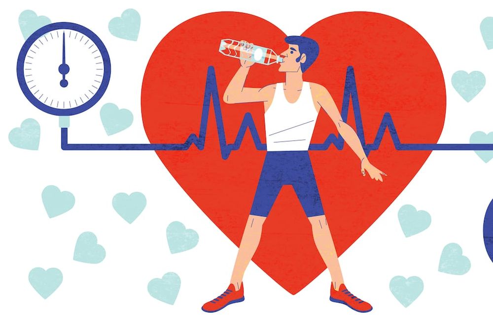 Beber a diario abundante cantidad de agua regula la presión arterial, limpia la sangre y mejora el ritmo diurético. Ilustración: Hugo Horita.