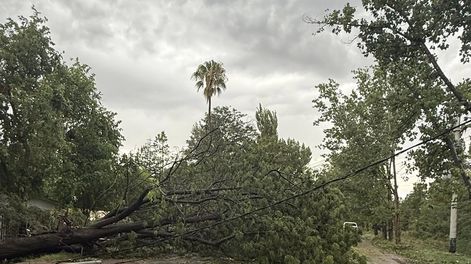 San Martín: un poste cayó sobre un motociclista en Ruta 50 durante el temporal.