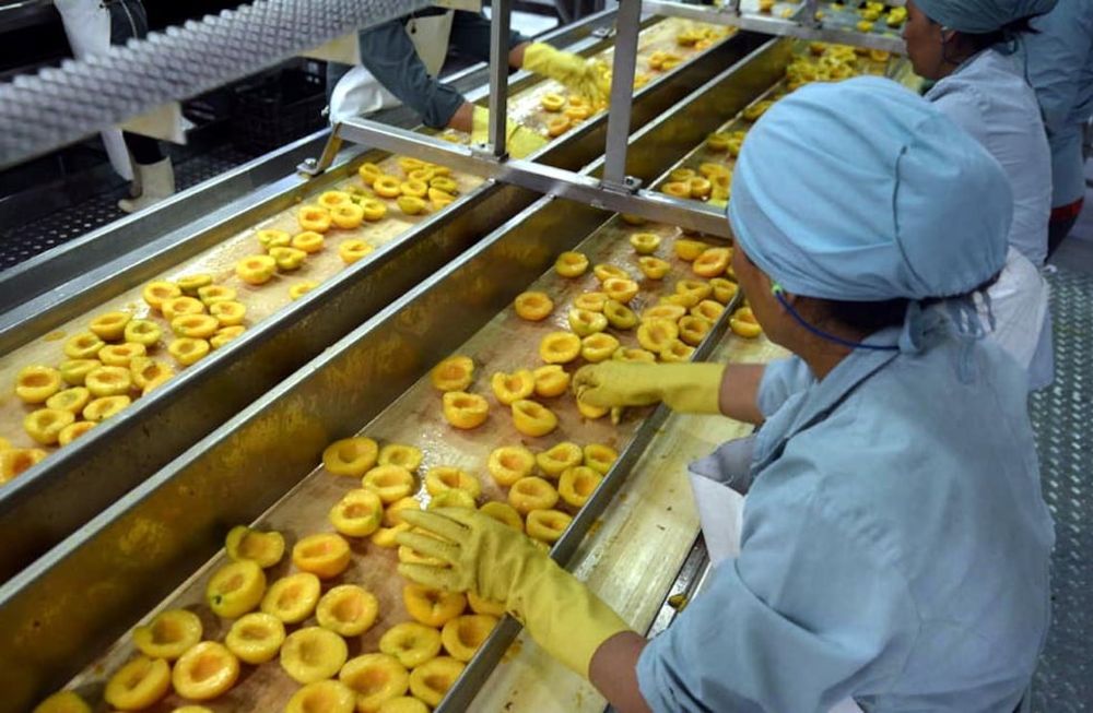 Industriales y productores del durazno apuntan al mercado externo, desde América a Asia. - Archivo / Los Andes