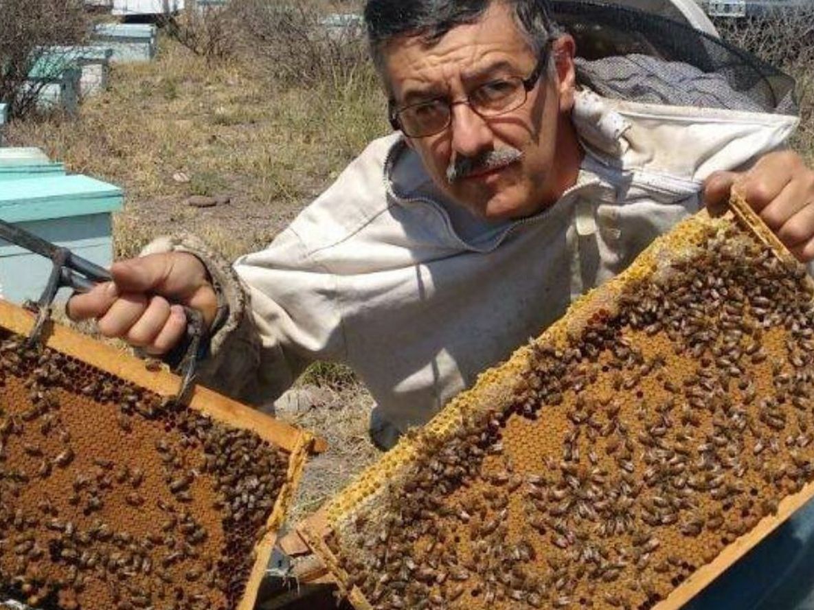 Productor apícola del Valle de Uco. Productor apícola del Valle de Uco.
