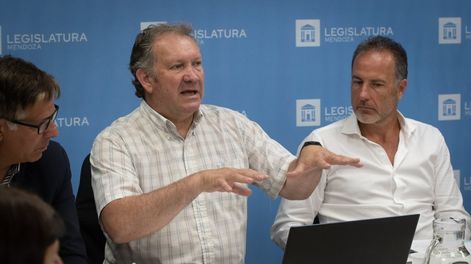 Los Andes | En la Legislatura comenzó el debate y estudio en comiciones de Ambiente y Mineria del proyecto minero Cerro Amarillo  Foto: Ignacio Blanco / Los Andes