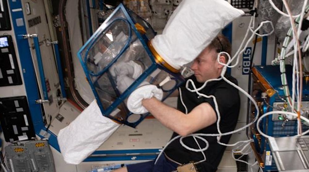 Ante este panorama, la NASA ya está evaluando estrategias preventivas, como el ejercicio físico y el uso de sistemas de resistencia mecánica