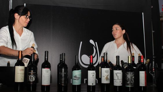 Guarda14 deleitó con vinos premiados en la Pisada de la Uva de Mendoza Shopping