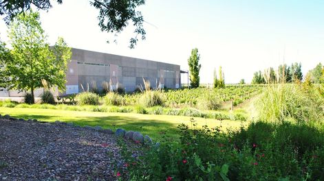 La bodega, ubicada en Agrelo, Luján de Cuyo, cuenta con un paisaje único con vista a la Cordillera de los Andes.