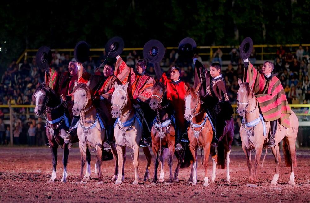 Los caballos criollos presentes en Feriagro