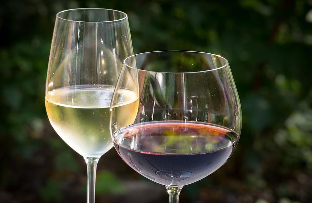 El precio del vino aumentó casi un 300% en el último año. Cómo impactó en el consumo y qué pasó con las bebidas sustitutas.