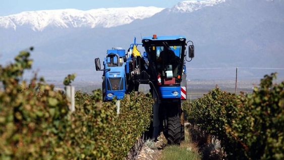 El difícil y largo camino de la mecanización en el agro mendocino