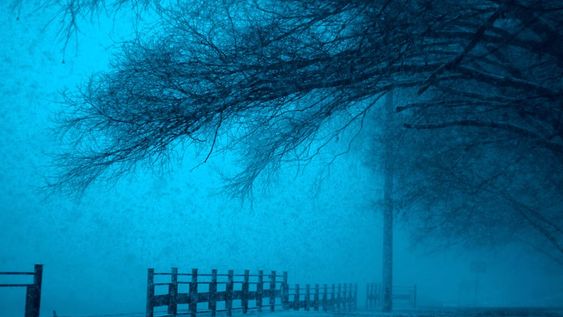 Los números que le traerán suerte hoy - Géminis