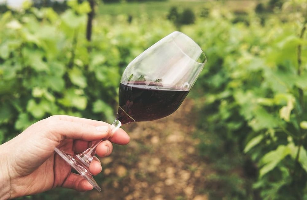 El INV determinó el grado alcohólico mínimo de los vinos genéricos cosecha 2024