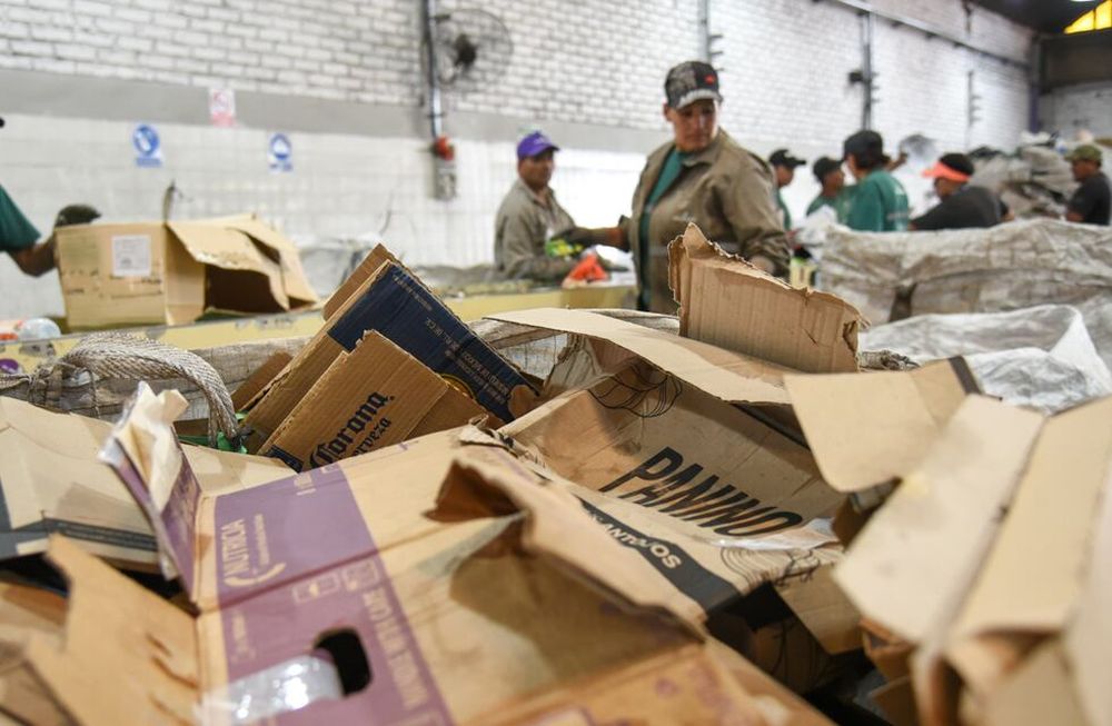 Todo sobre el reciclaje del cartón para seguir cuidando el ambiente