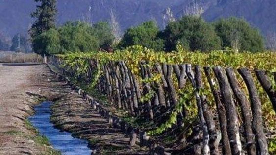 Mendoza necesita ordenar en un código sus leyes de aguas