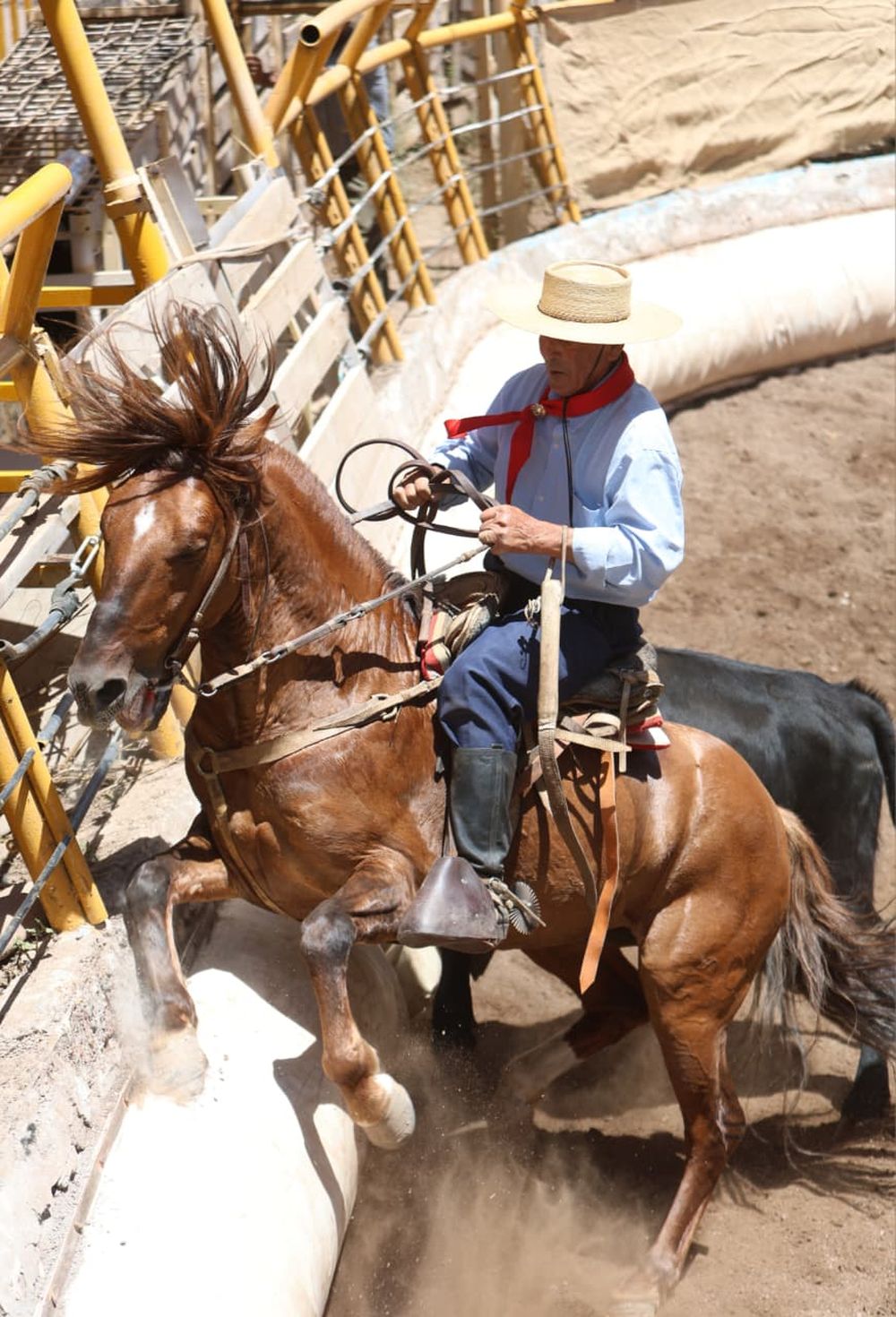 Expo Vendimia de caballos criollos en el predio exFeriago. Pruebas, muestras, artesanías y tradición en el Multiespacio Cultural de Luján de Cuyo.
