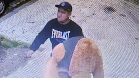 Insólito: rompió el vidrio de un auto para robarse un oso gigante de peluche en Saavedra