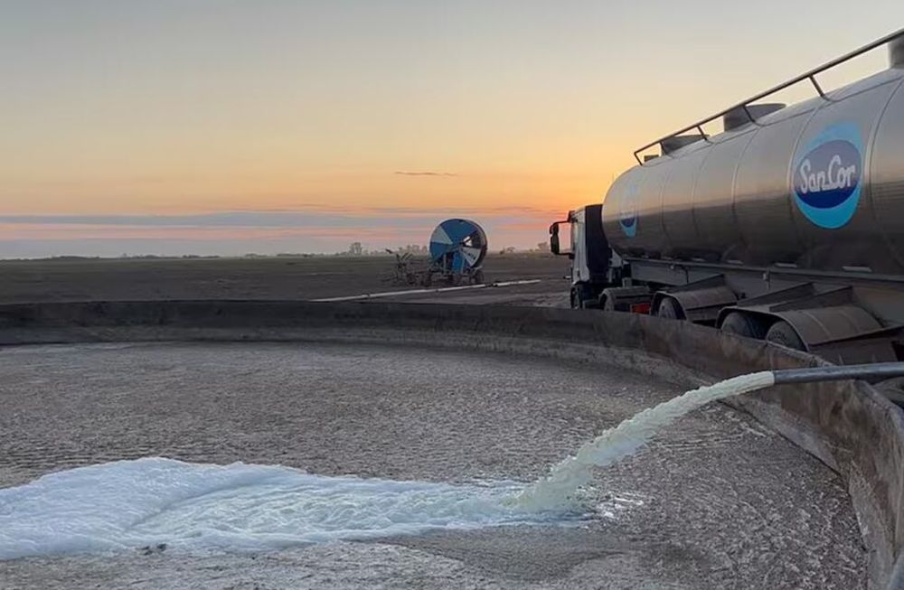 Sancor ya había alertado sobre la paralización casi total de sus operaciones debido a un bloqueo impuesto por Atilra. Derramaron 100.000 litros de leche. - Captura de video