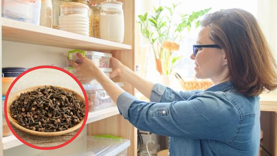 El clavo de olor mejora el ambiente y evita situaciones molestas en muebles que a veces no se logra controlar.