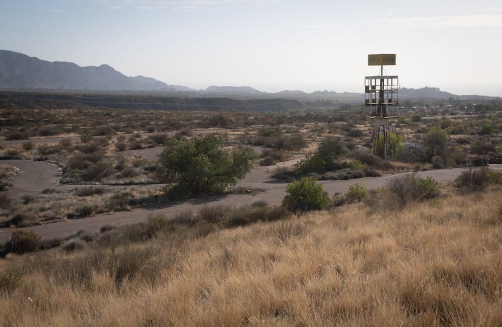 Con los años, la flora ha logrado doblegar el viejo asfalto y emerge sobre el trazado de la antigua pista de carreras, que fue inaugurada a mediados de los ‘70. Foto: Ignacio Blanco / Los Andes
