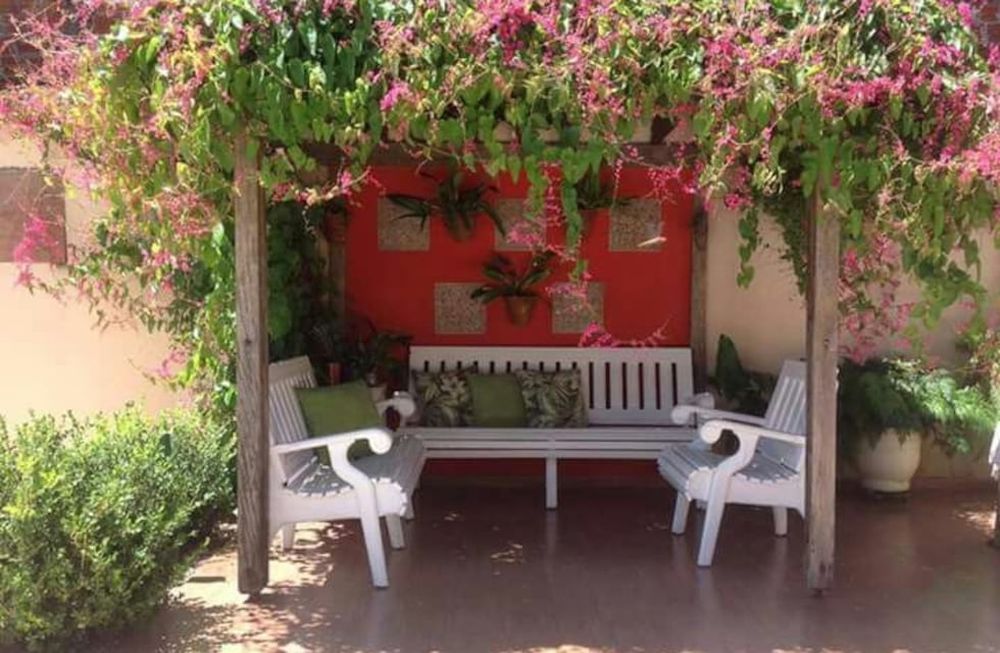 El sol directo en jardines y terrazas es uno de los factores a tener en cuenta, para elegir las especies y que resistan las altas temperaturas.