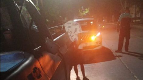 Ojos en Alerta: dos sujetos que robaban baldosas de una obra municipal fueron detenidos.