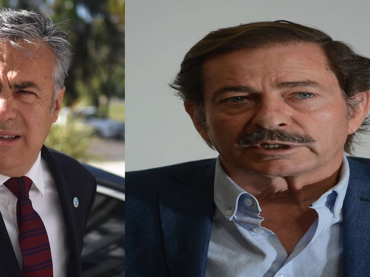 Gansos versus pericotes, el combate continúa - Por Carlos Salvador la Rosa