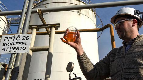 La Cámara de Biocombustible reclama que el corte de biodiesel aumente al 15%.