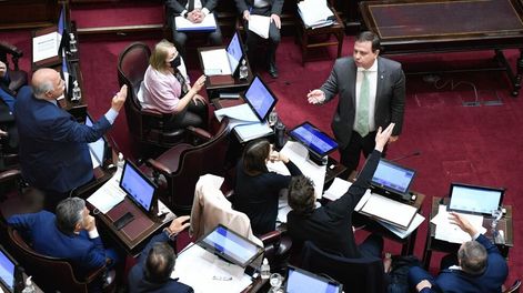 Los Andes | Una pelea en el Senado entre oficialismo y oposición casi termina a las piñas.