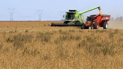 Récord en las exportaciones agroindustriales