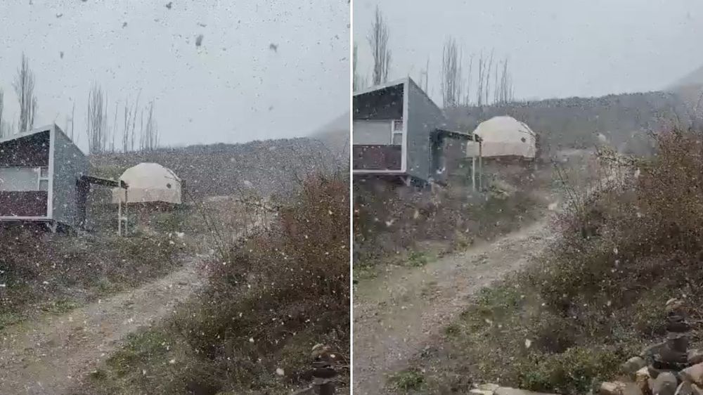 Nieva en Potrerillos.&nbsp;