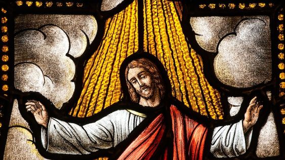 Jesús les respondió: ¿No han leído que el Creador, desde un principio los hizo hombre y mujer, y dijo: Por eso el hombre dejará a su padre y a su madre, para unirse a su mujer, y serán los dos una sola cosa?.