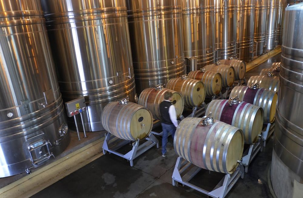 Durante la última década la industria vitivinícola ha tenido grandes cambios motorizados por los privados / Foto: Orlando Pelichotti