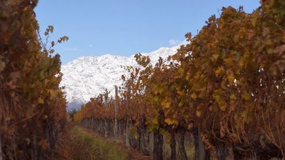 Cinco ciudades para disfrutar del vino a un precio accesible