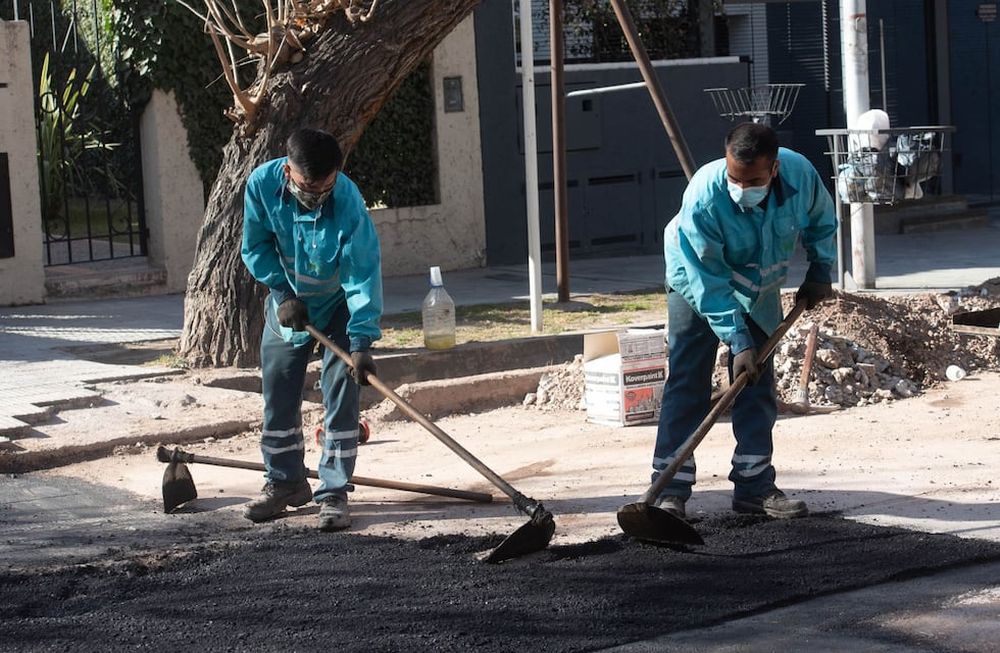 Cronograma de trabajos de arbolado y bacheo