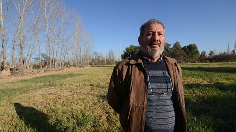 Roberto Fadin recorre su campo sembrado con forraje más resistente a la falta de agua para alimentar su ganado / Foto: Claudio Gutiérrez - Los Andes