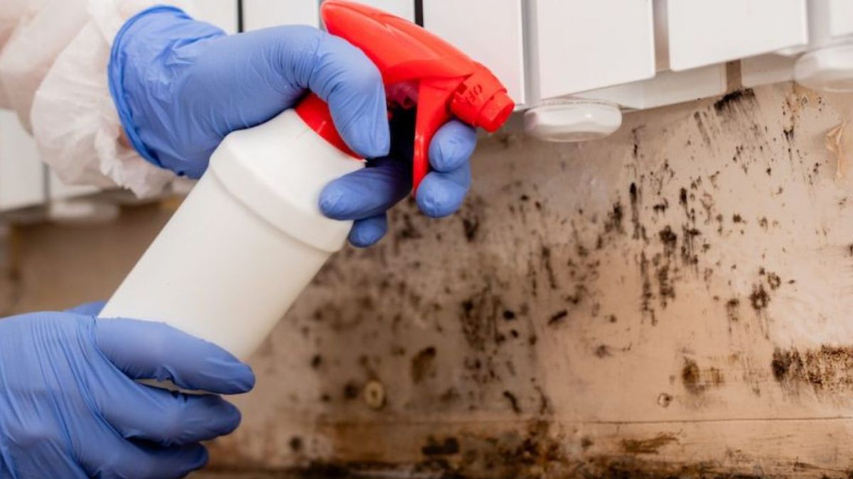 Decile adiós a las manchas de humedad en casa: profesionales