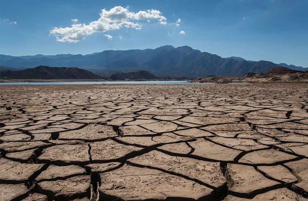 La sequía está afectado las producciones agropecuarias de todo el país. - Ignacio Blanco / Los Andes