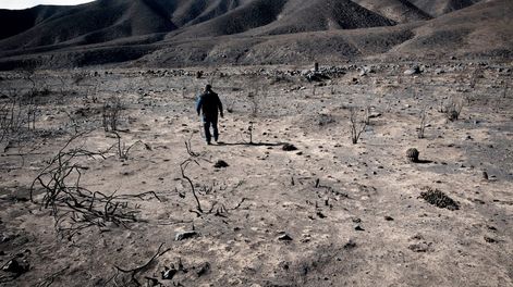 Los Andes | Luego de los estudios científicos, el grupo comenzó a trabajar en la zona afectada, cercana al río Blanco, recomponiendo bosques nativos y pastizales. Foto: Orlando Pelichotti / Los Andes.