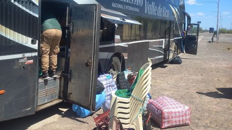 Decomiso fitosanitario en Mendoza: alertan por nuevas intervenciones para proteger la producción local