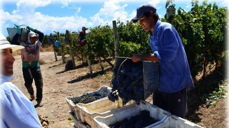 Más cerca en la discusión sobre el mosto