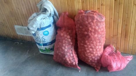 Operativos por nueces robadas en Tupungato
