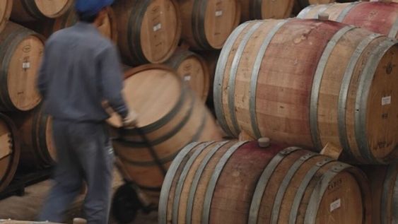 La bodega Los Helechos también está presente en la Feria de Guarda14