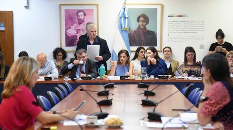 Los Andes | Las comisiones de Legislación del Trabajo y de Mujeres y Diversidad de Diputados abrieron el debate sobre licencias parentales (Foto: HCDN)