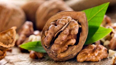 Crearon un catálogo de calidad de nueces para mejorar la comercialización