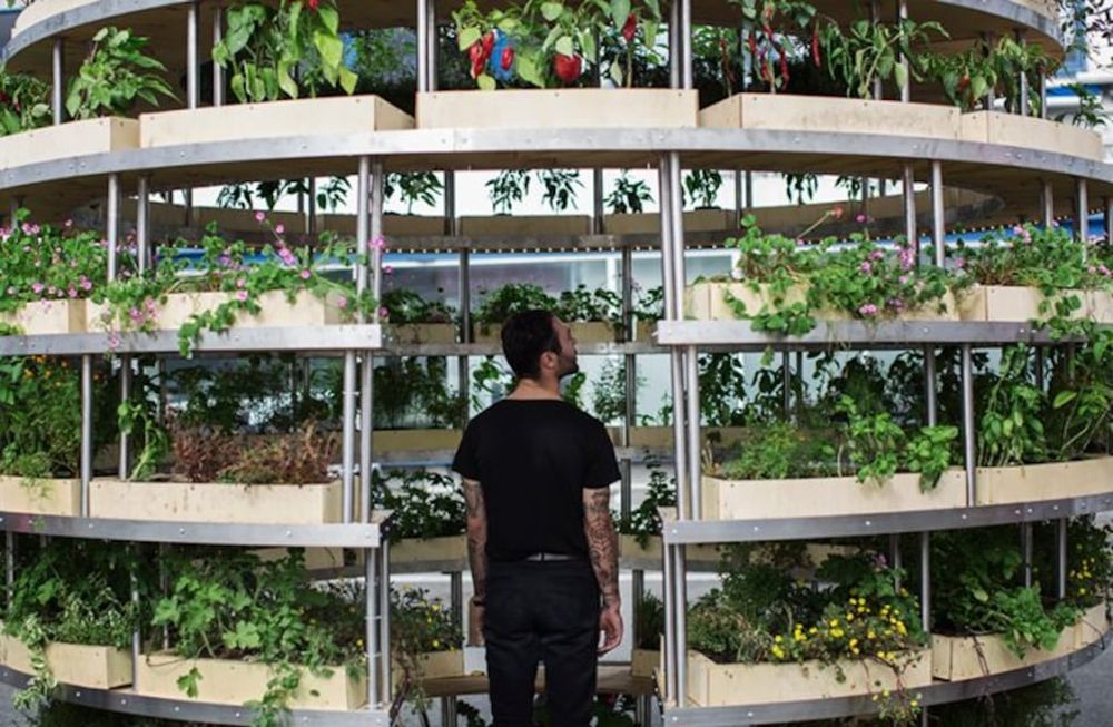 Cuando la arquitectura está al servicio de los alimentos