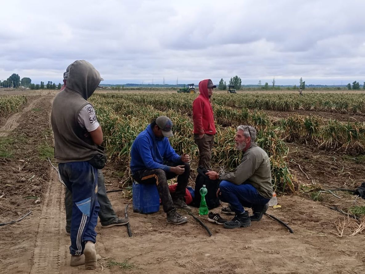 Trabajadores golondrina en Tupungato. La imagen de la finca donde se realizó el relevamiento laboral.