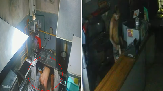 Un delincuente agujereó la pared de una panchería y robó todo lo que pudo.