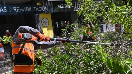 Reporte post viento zonda: personal de la Muni sigue trabajando en las zonas afectadas