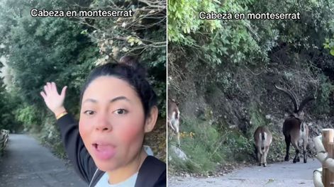 La influencer venezolana sorprendida por cabras.