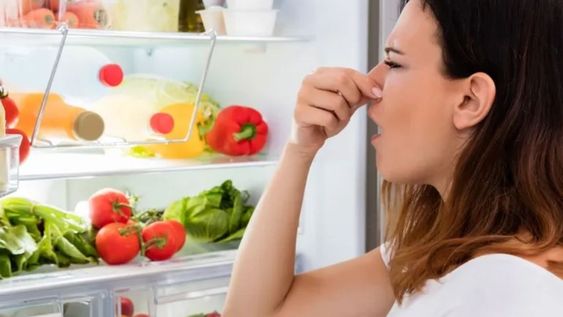 Los errores diarios al guardar mal los alimentos en la heladera generan bacterias que se multiplican y provocan intoxicaciones.