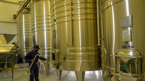 Los productos intervenidos serán liberados para la fabricación de productos derivados de la industria vitivinícola. - Orlando Pelichotti / Los Andes