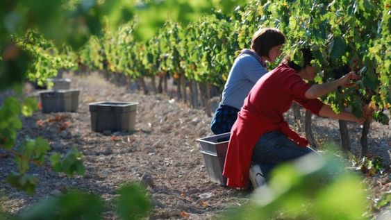 Necesitamos una reparación histórica y un volver a ver al trabajo como el único recurso que sacará adelante al país, sostienen desde el sector